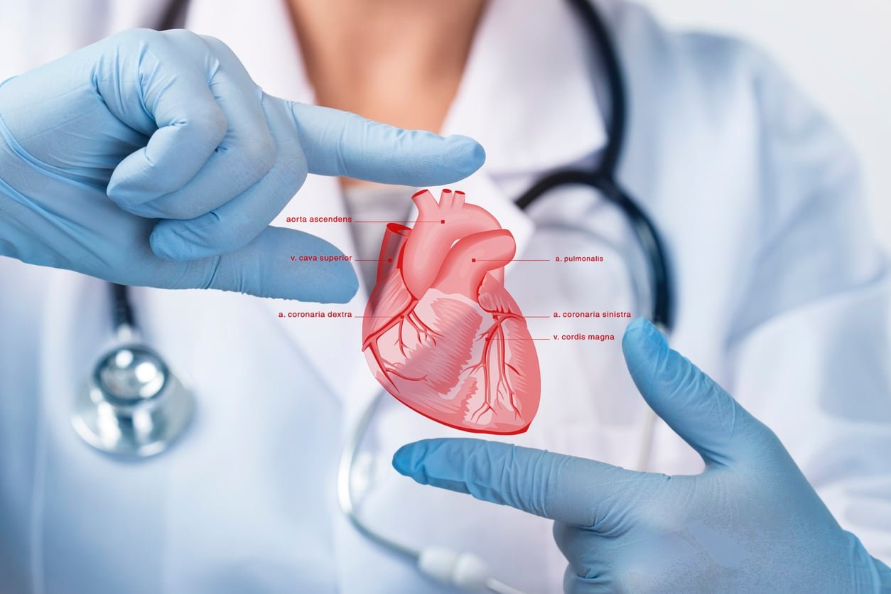 Cardiology